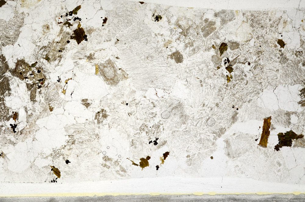 Plane Polarized, S78494