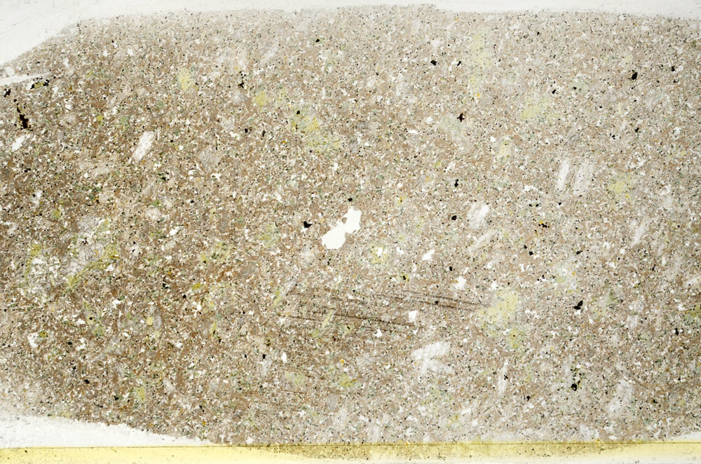 Plane Polarized, S78508