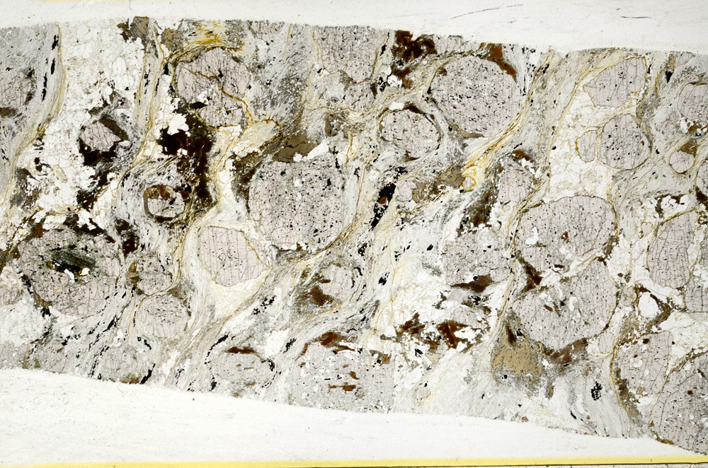 Plane Polarized, S78514