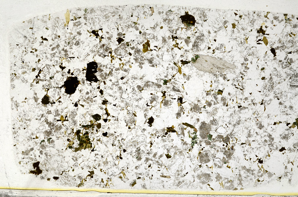 Plane Polarized, S78555