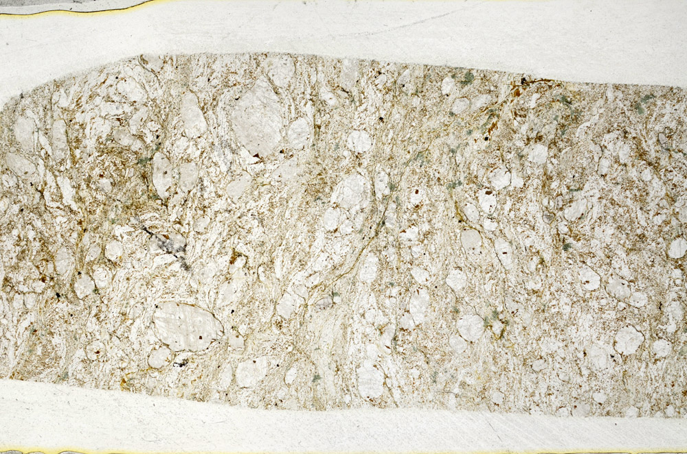 Plane Polarized, S78559