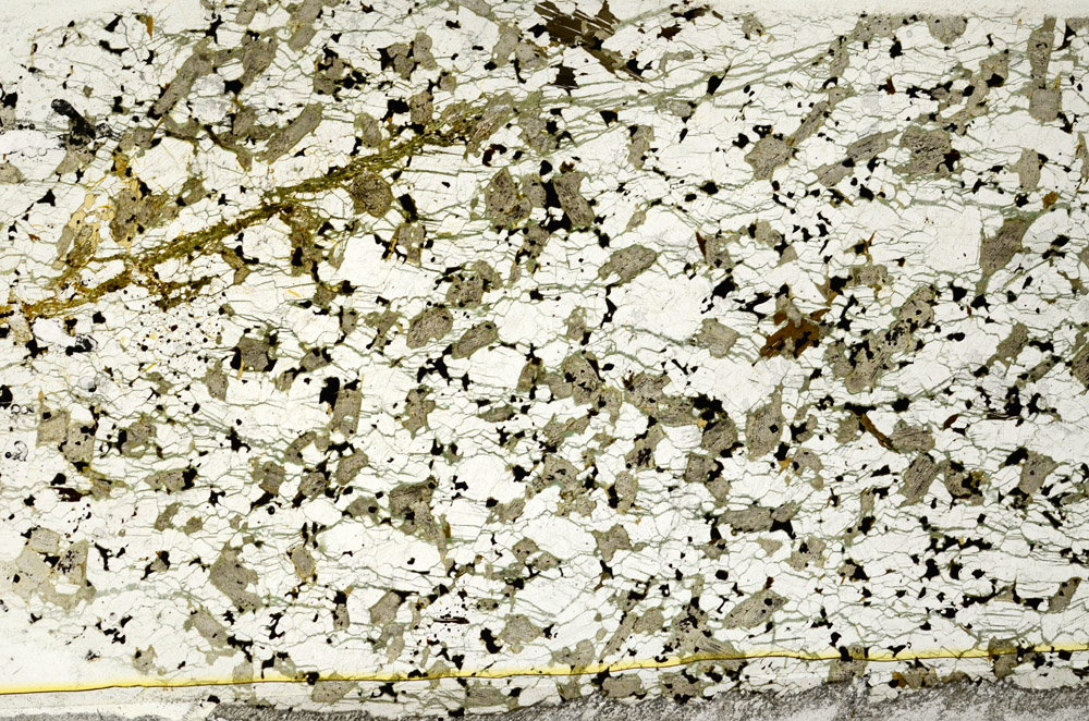 Plane Polarized, S78581