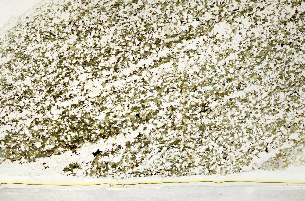 Plane Polarized, S78586