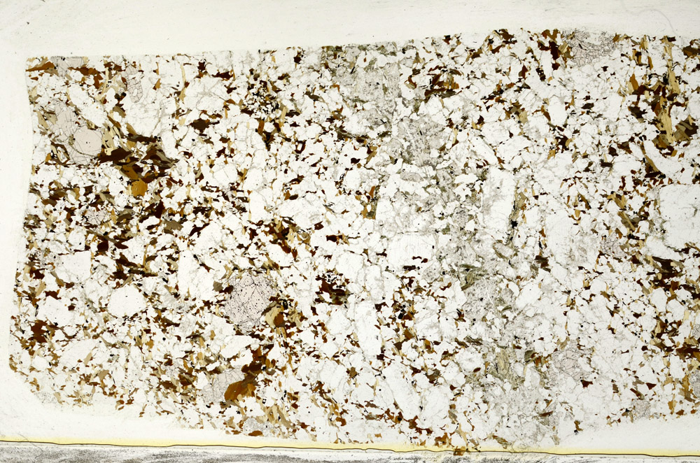 Plane Polarized, S78588