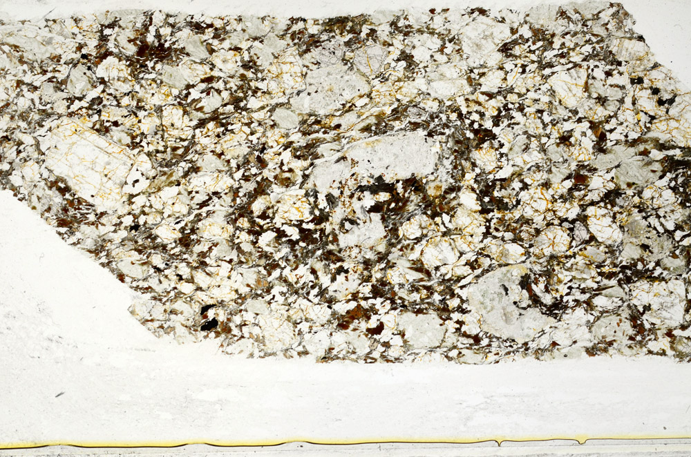 Plane Polarized, S78608