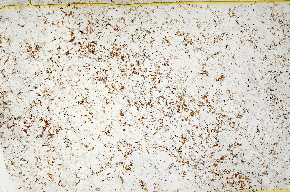 Plane Polarized, S78623