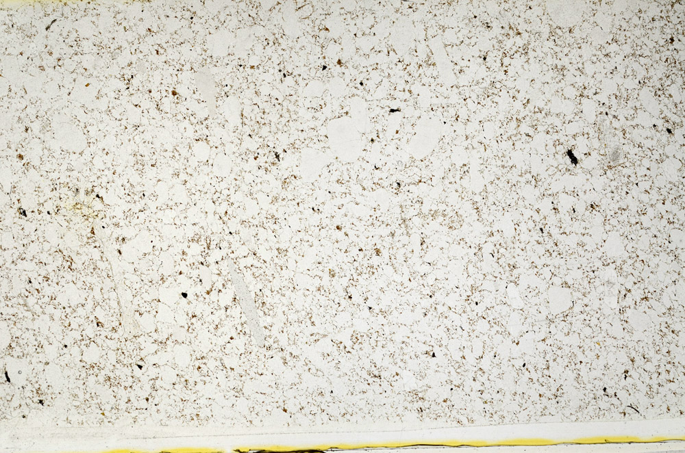 Plane Polarized, S78656