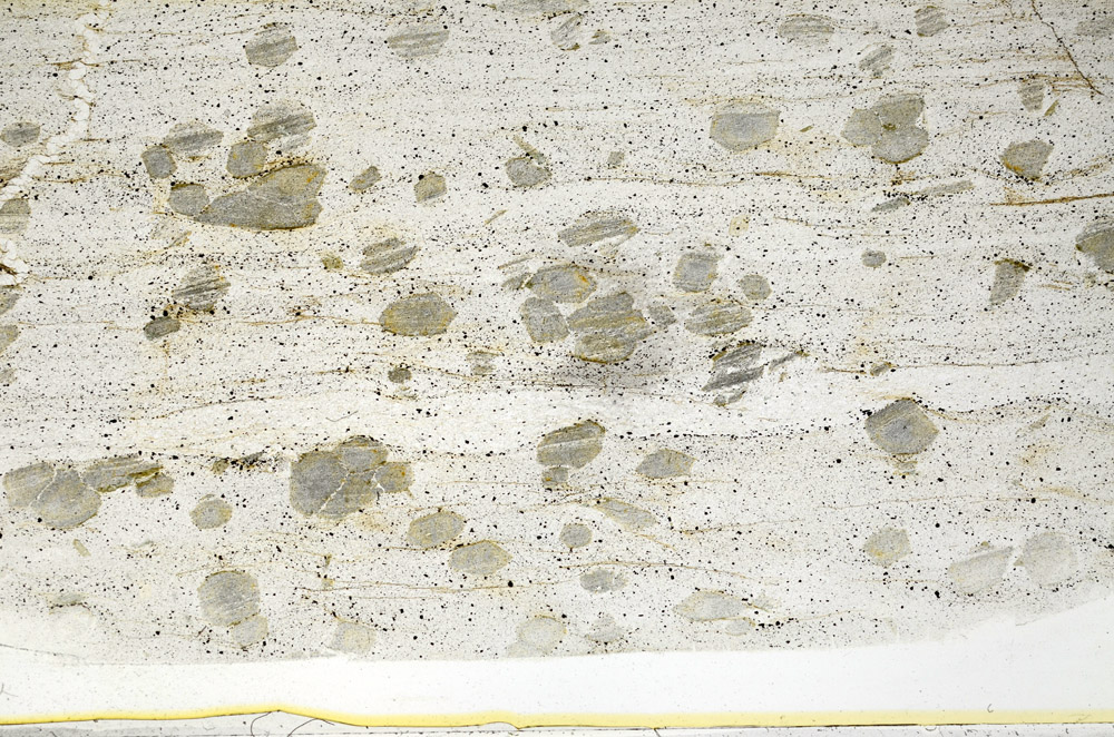 Plane Polarized, S78661