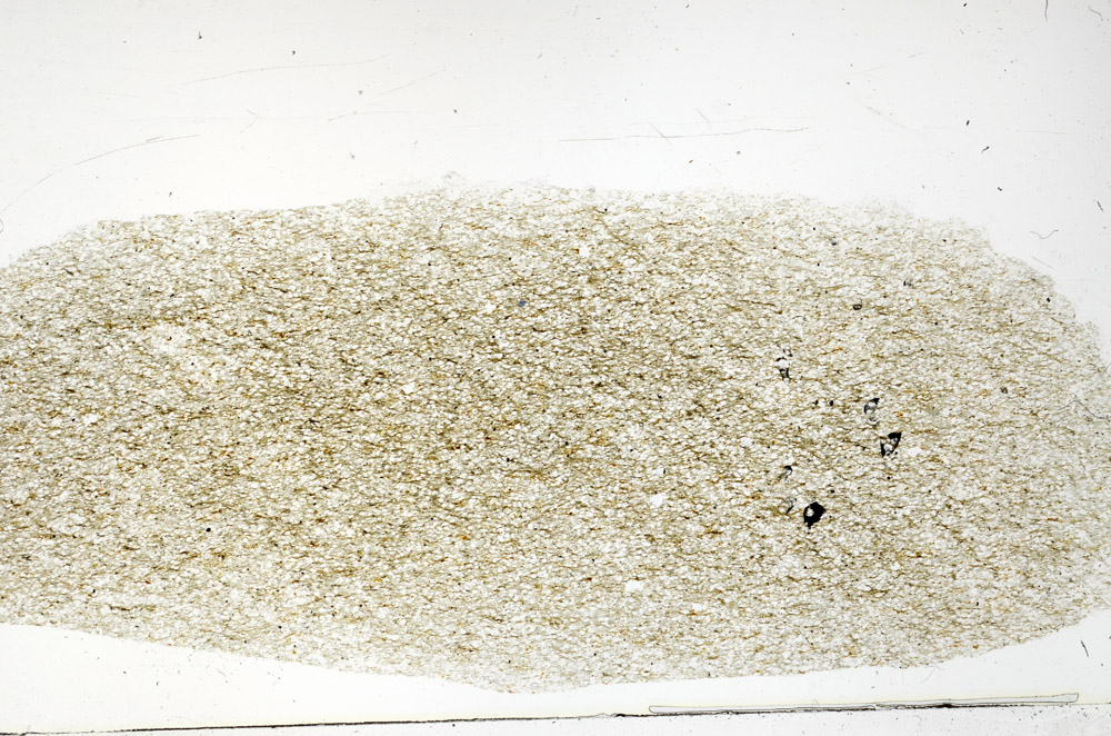 Plane Polarized, S78905