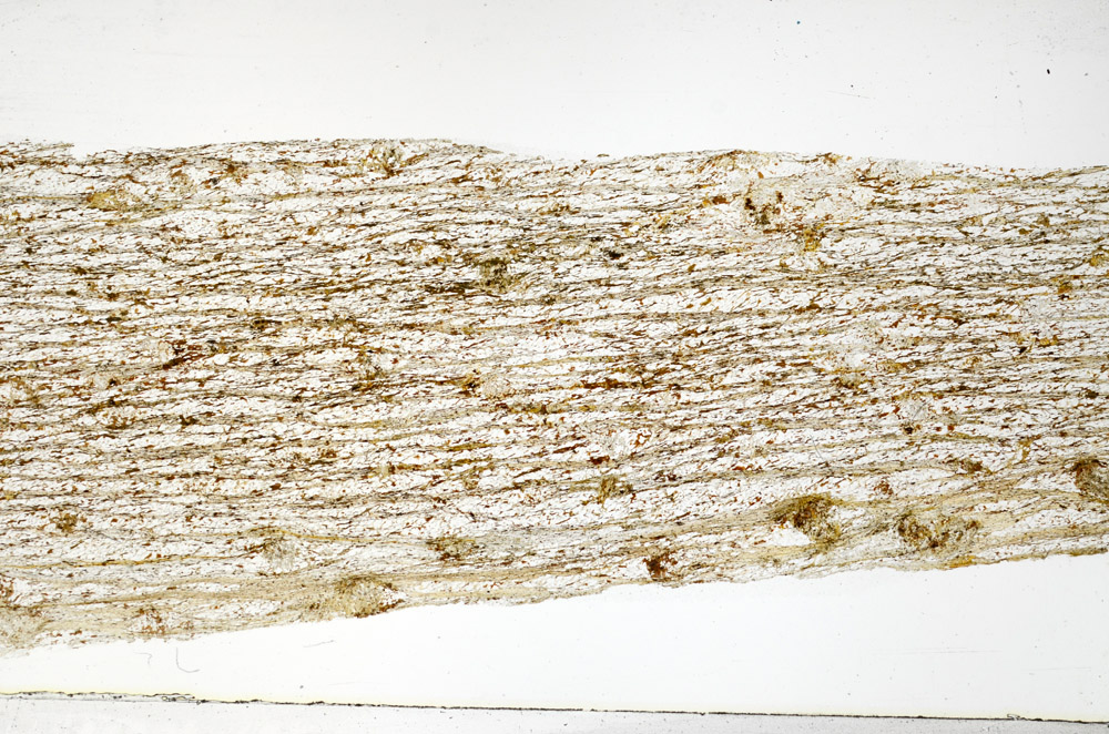 Plane Polarized, S78916