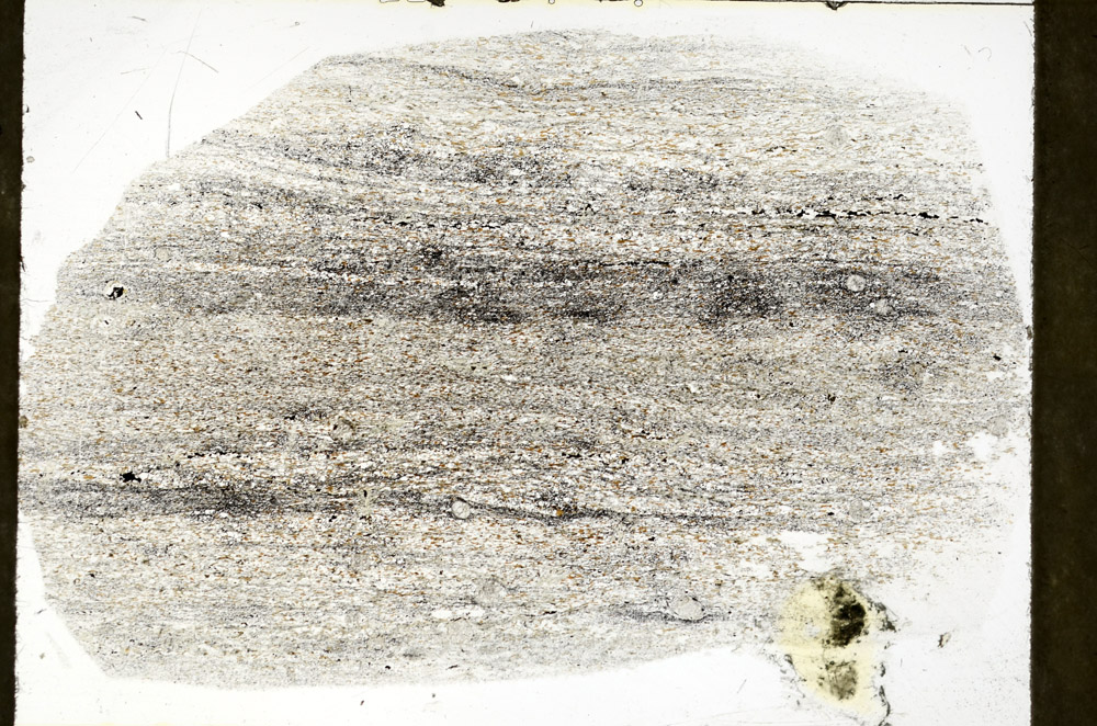 Plane Polarized, S78919