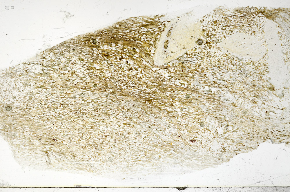 Plane Polarized, S78920