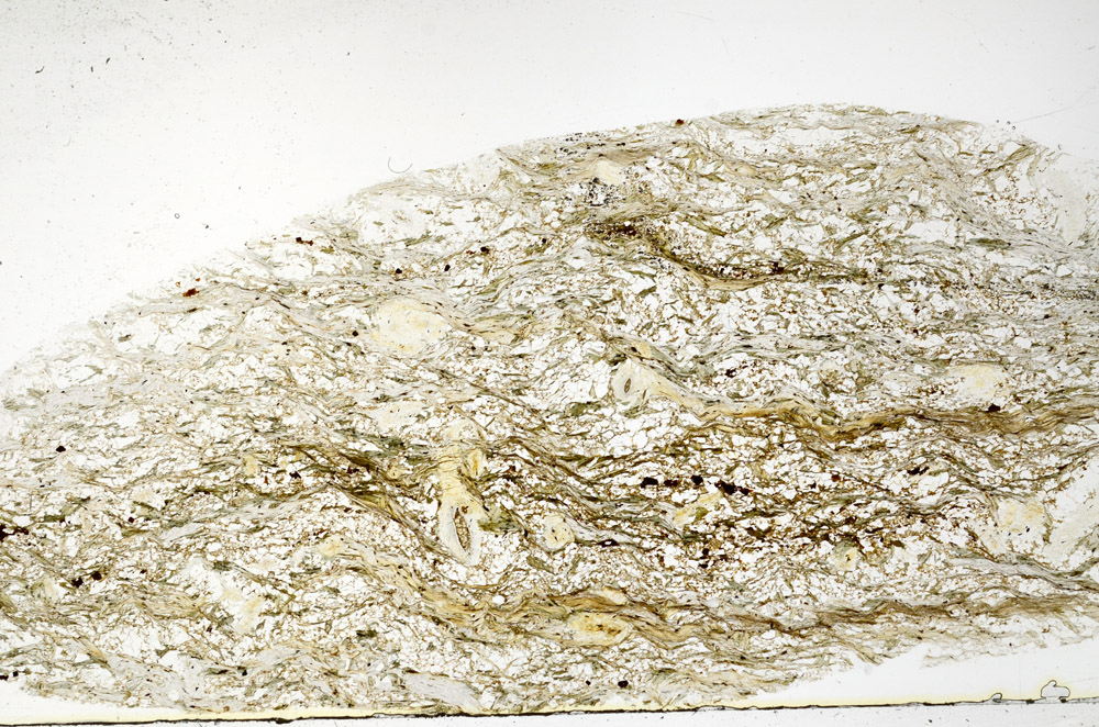 Plane Polarized, S78921