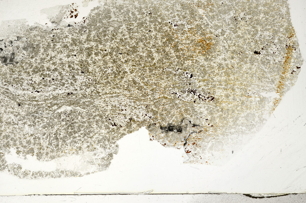 Plane Polarized, S78926