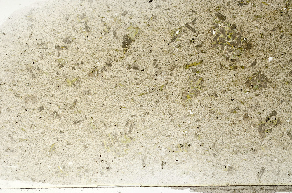 Plane Polarized, S78927