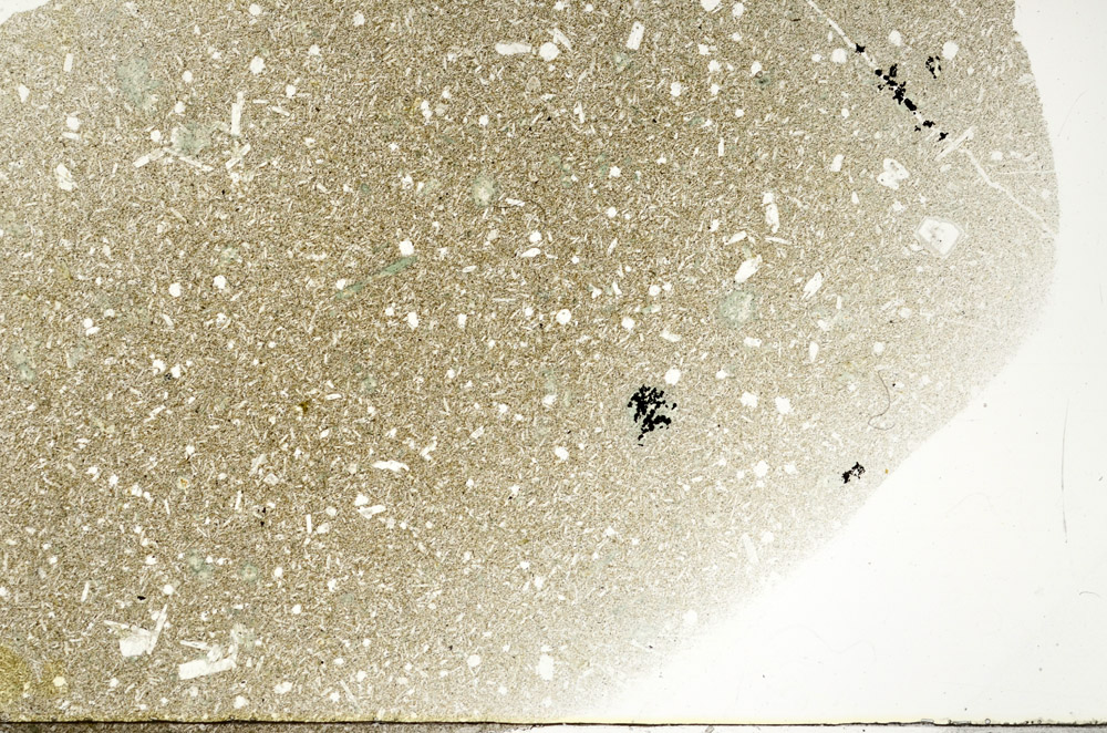 Plane Polarized, S78930