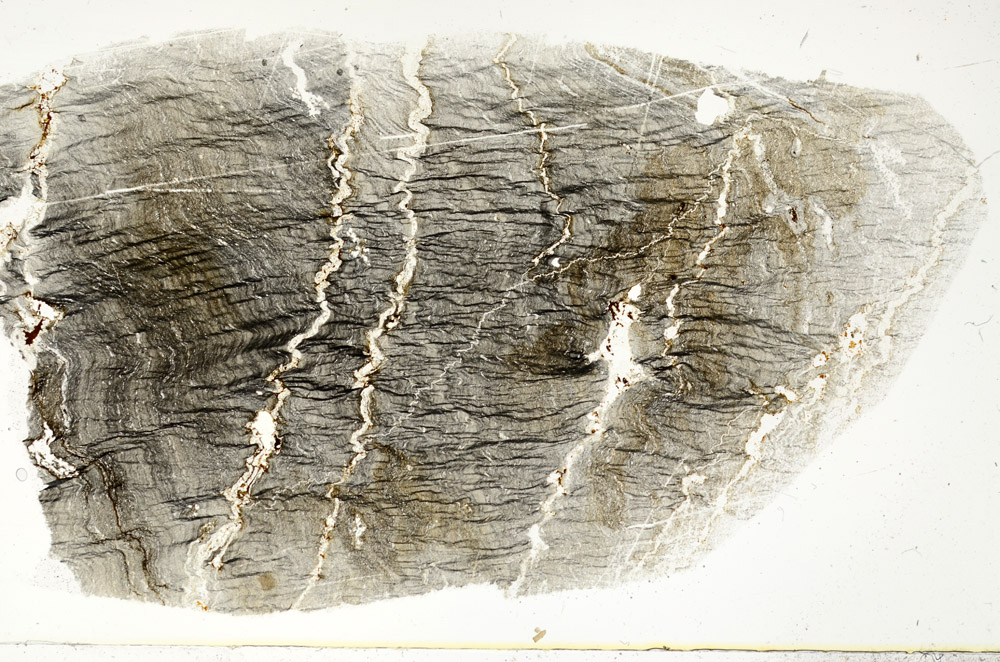 Plane Polarized, S78931