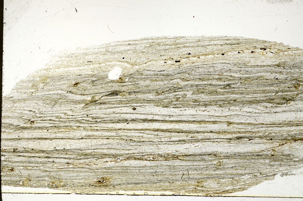 Plane Polarized, S78932