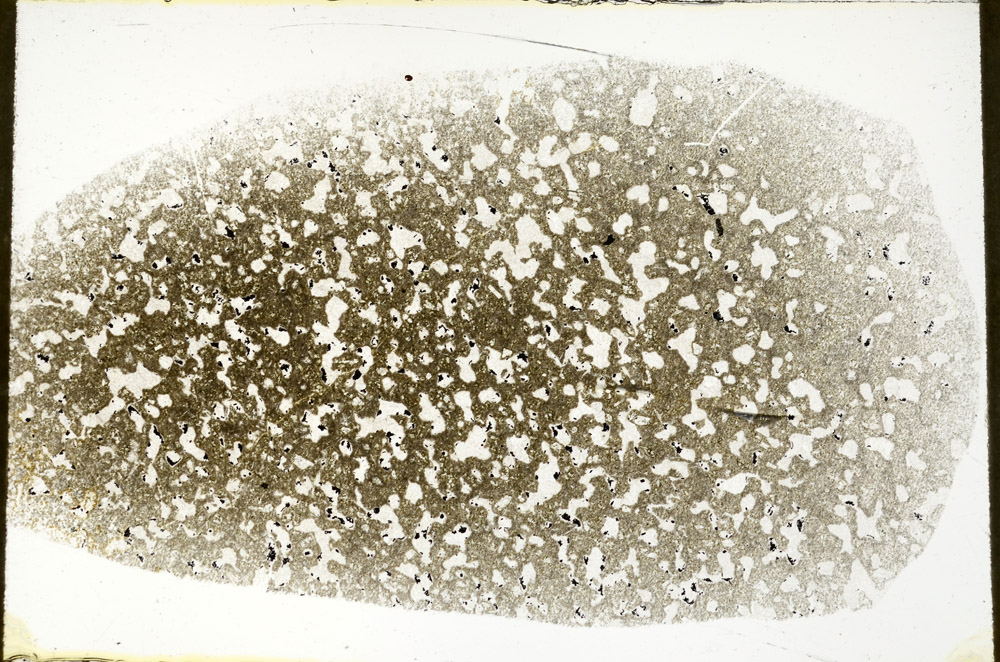 Plane Polarized, S78941