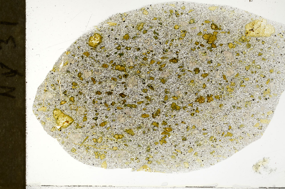 Plane Polarized, S78943