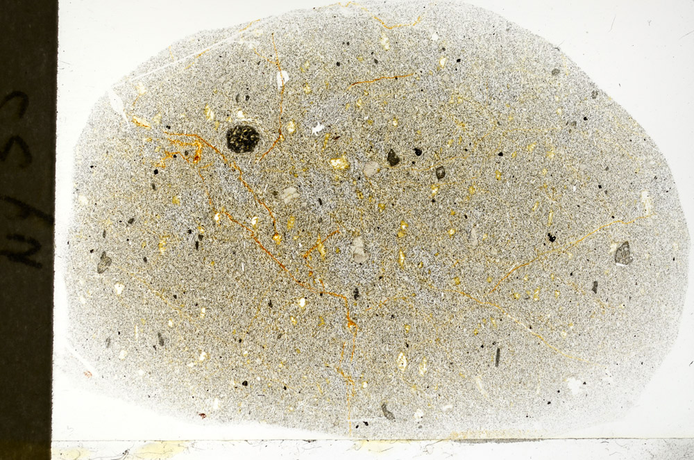 Plane Polarized, S78945