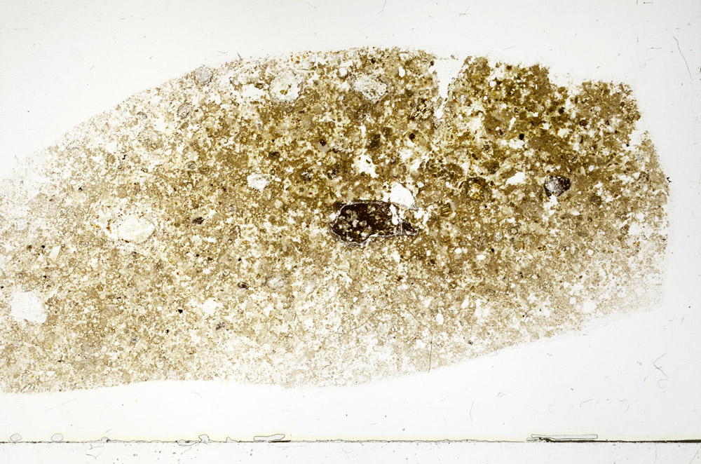 Plane Polarized, S78946