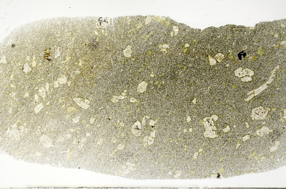 Plane Polarized, S78947