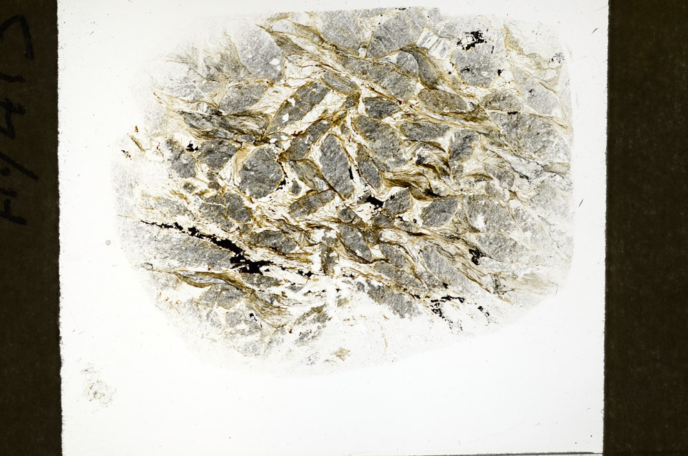 Plane Polarized, S78955