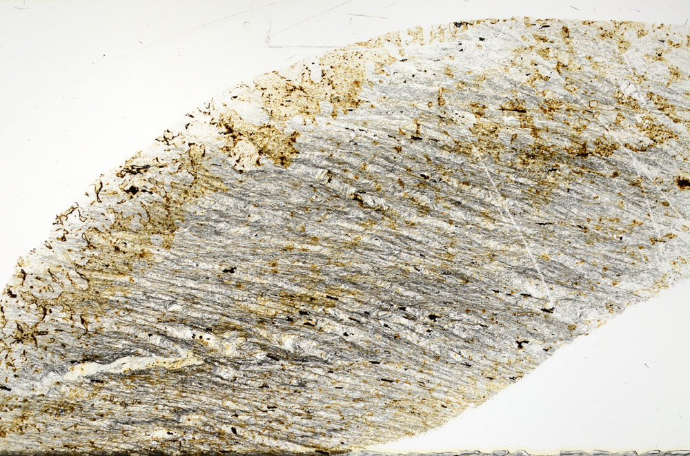 Plane Polarized, S78960