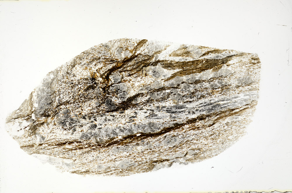 Plane Polarized, S78961