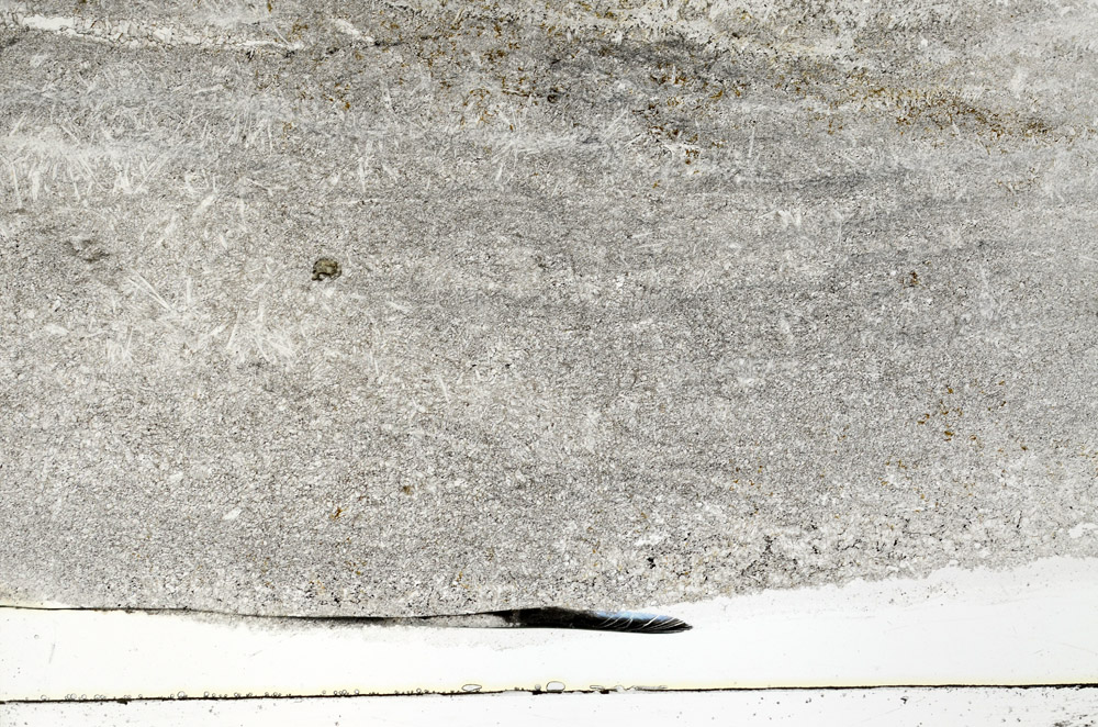Plane Polarized, S78972
