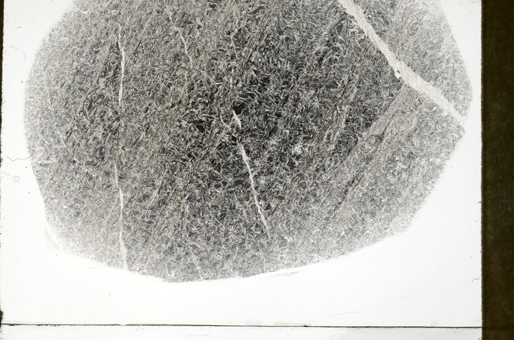 Plane Polarized, S78973