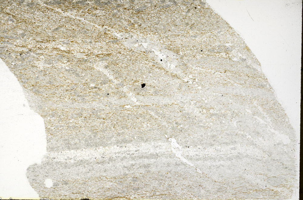 Plane Polarized, S79010