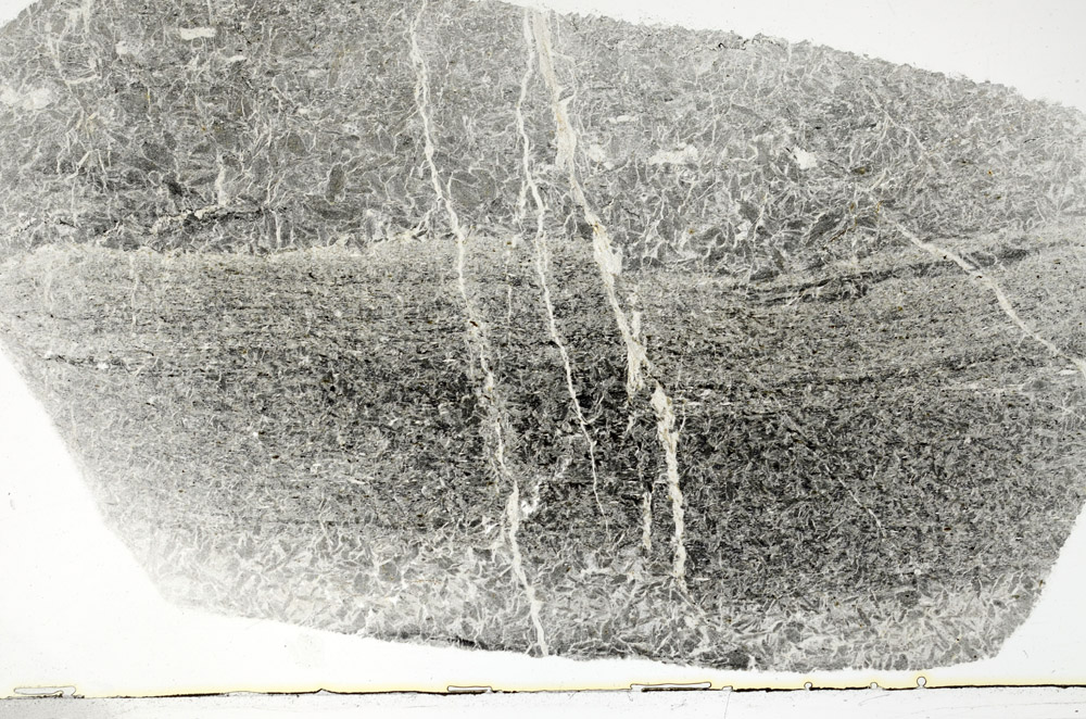 Plane Polarized, S79021/A