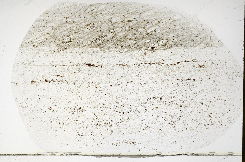 Plane Polarized, S79189