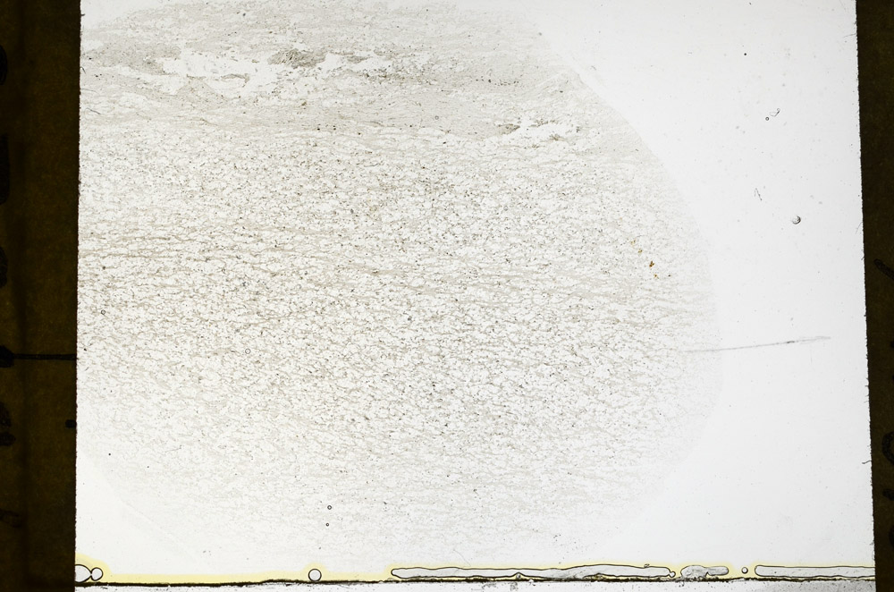 Plane Polarized, S79191