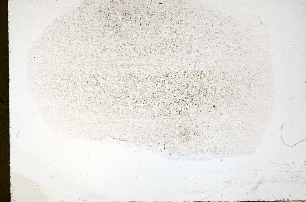 Plane Polarized, S79195