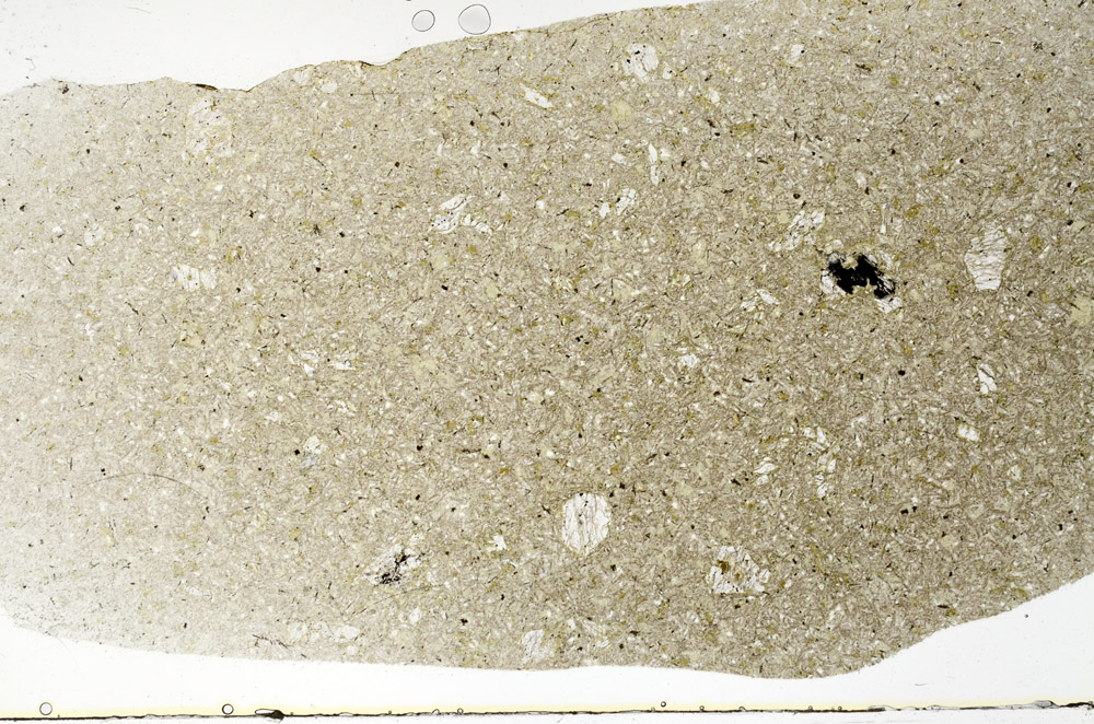 Plane Polarized, S79216