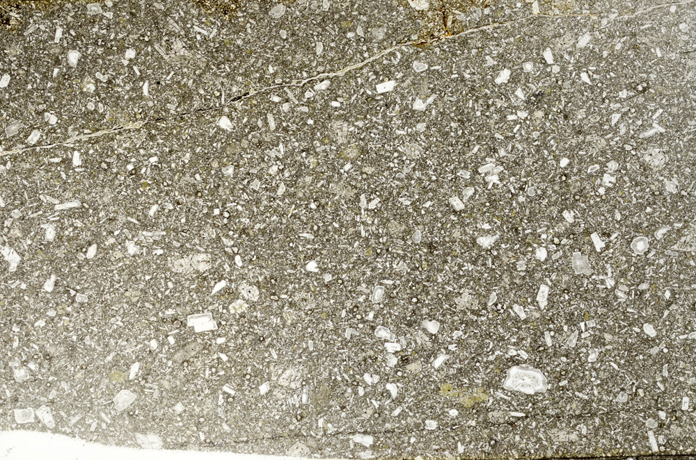 Plane Polarized, S79218