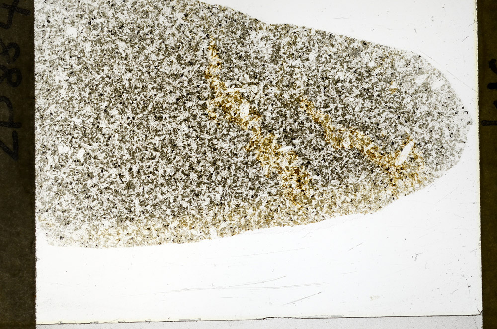 Plane Polarized, S79223