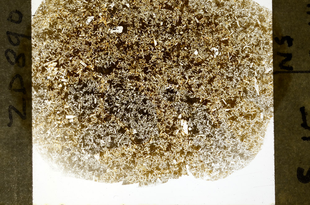 Plane Polarized, S79229