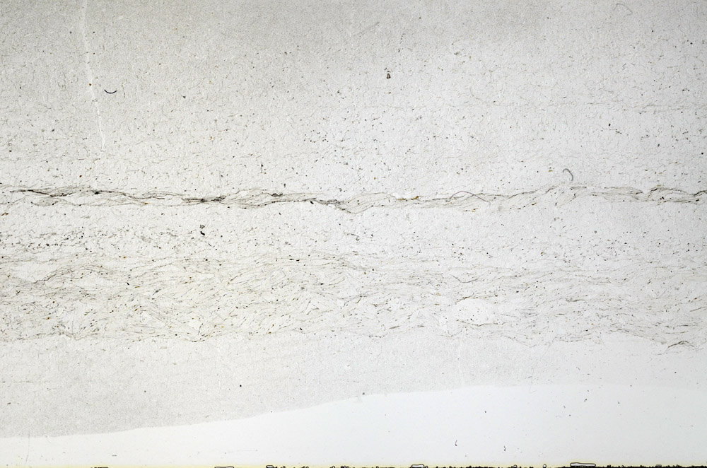 Plane Polarized, S79254