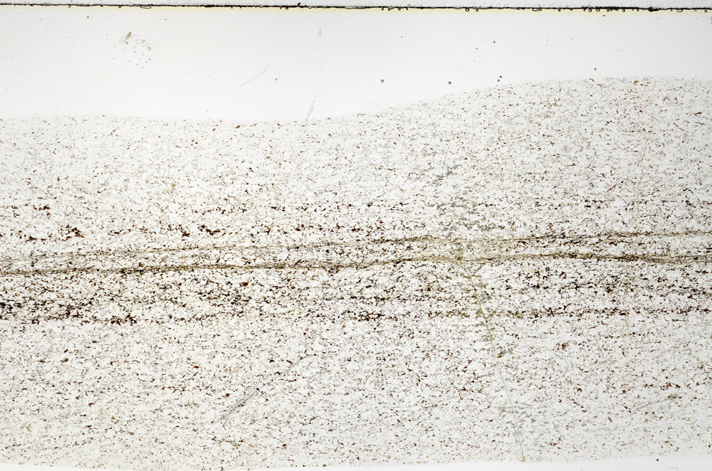 Plane Polarized, S79264