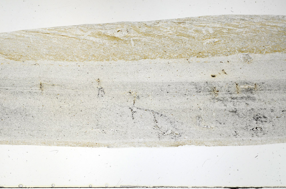 Plane Polarized, S79269