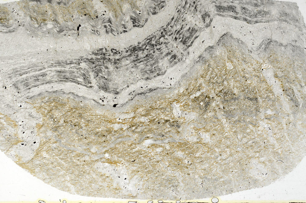 Plane Polarized, S79286