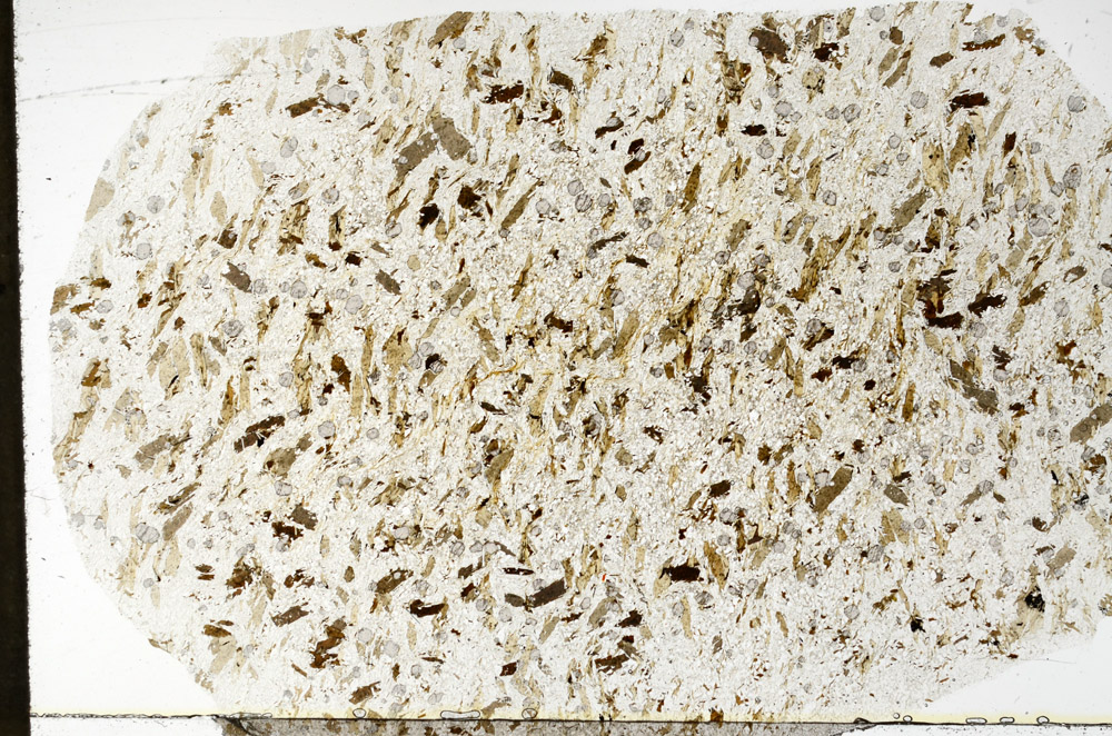 Plane Polarized, S79296