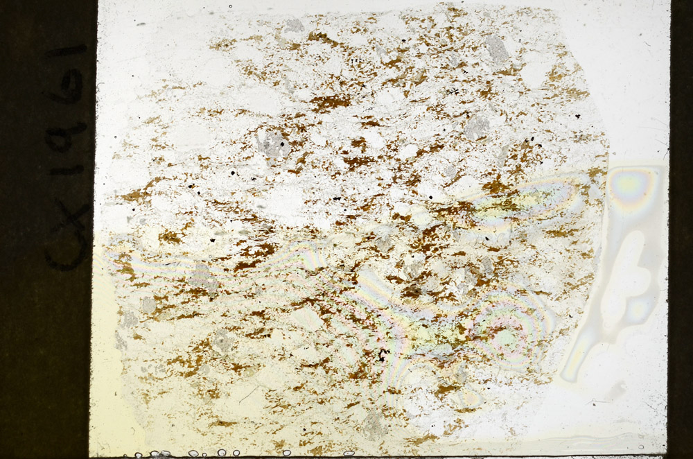 Plane Polarized, S79316