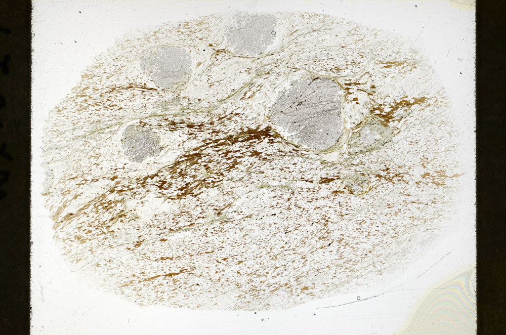 Plane Polarized, S79339/A