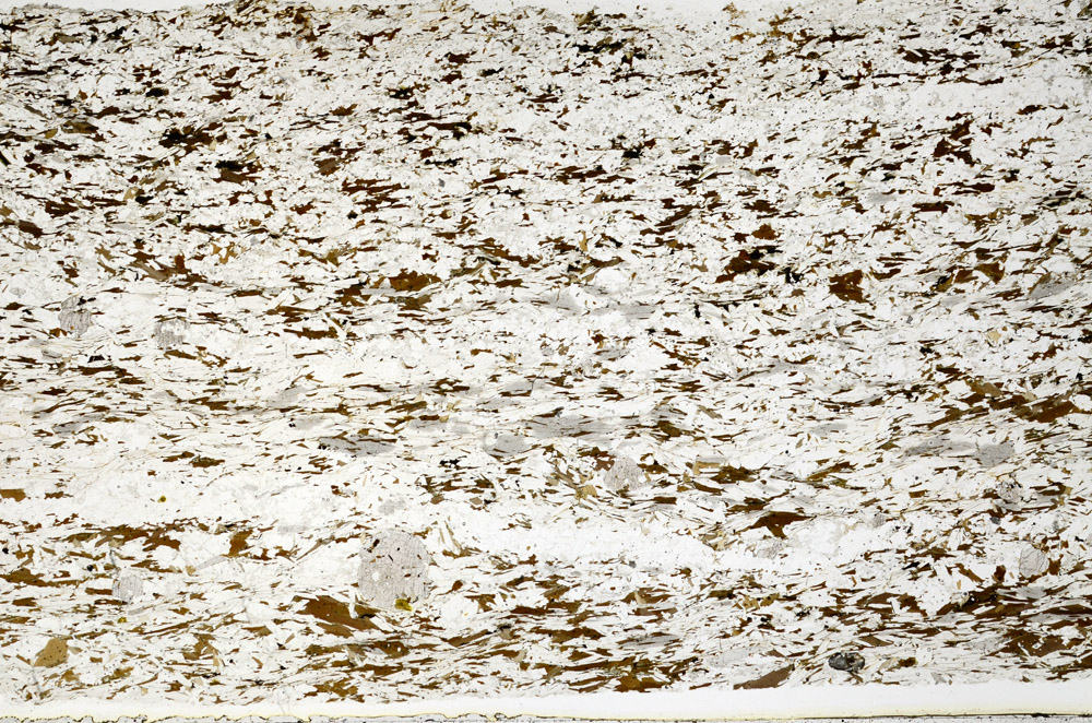 Plane Polarized, S79412