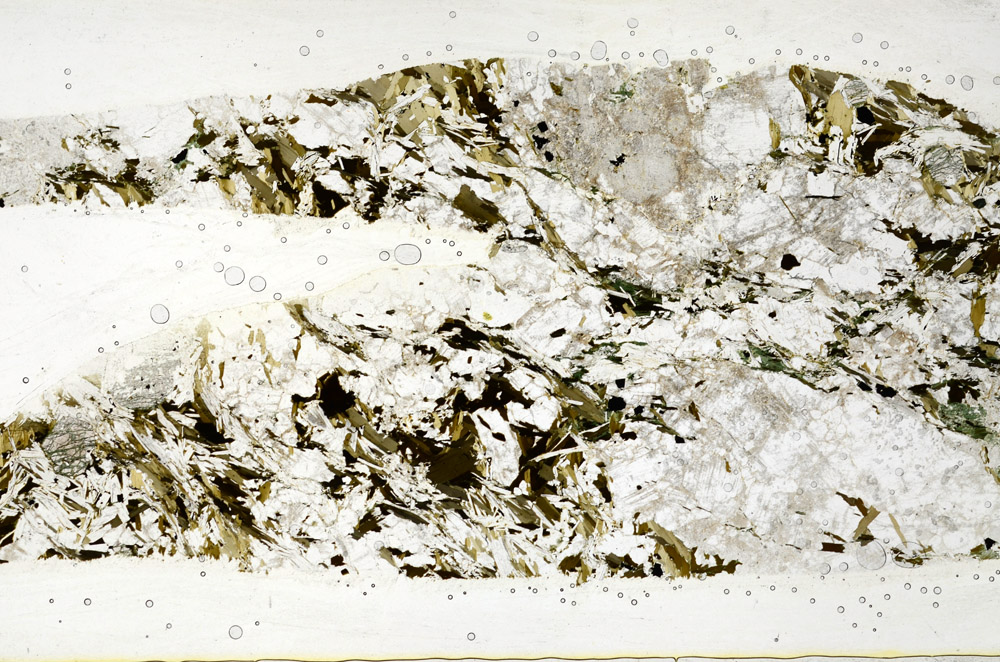 Plane Polarized, S79454